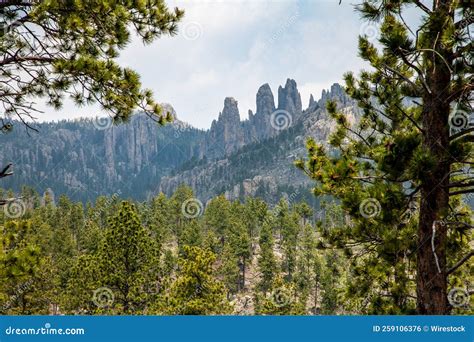 Forest Trees and Cliffs on Needles Highway in Custer State Park, Black ...
