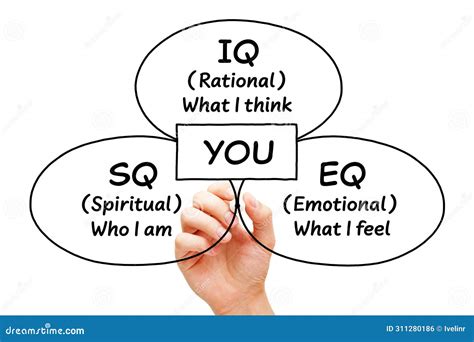 IQ Rational SQ Spiritual EQ Emotional Intelligence Diagram Concept Stock Photo | CartoonDealer ...