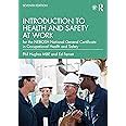 Buy INTRODUCTION TO HEALTH AND SAFETY AT WORK: for the NEBOSH National ...