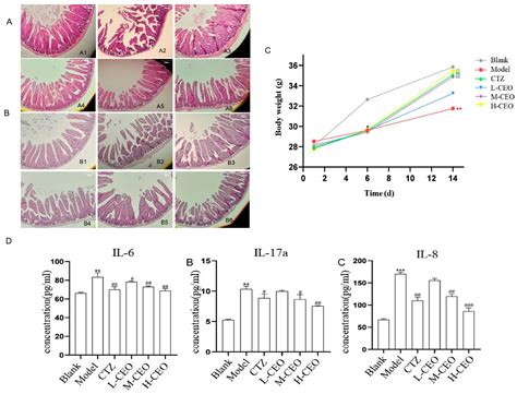 Impact of Clove Essential Oil on the Intestinal Flora in Mice Infected ...