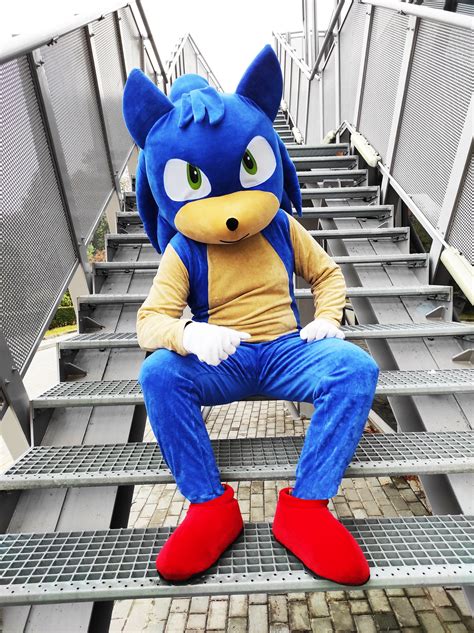 Buy Sonic Mascot Costume Sonic the Hedgehog Party Mascot Online in ...