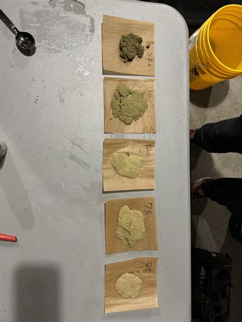 Image result for Homemade Bubble Hash