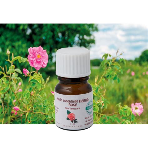 Damask rose essential oil - Diffusion Rosicrucienne