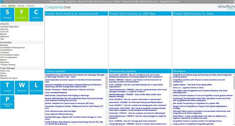 CargoWise Tutorial 的图像结果