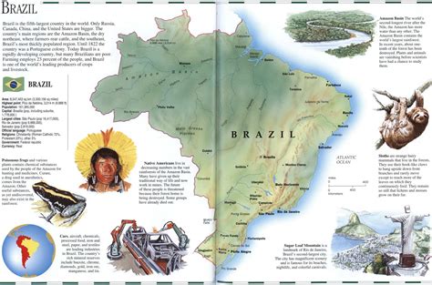 Geographical Features Brazil at Susan Tucker blog