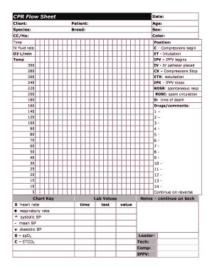 Flow Sheet For Cpr And Aed - Fill and Sign Printable Template Online