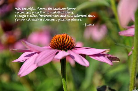The Most Beautiful Flower Poem Theme at Lawrence Gooden blog