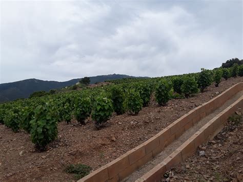 Image result for Dissertation Editing Invoice Sample