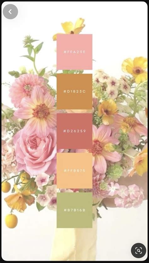 Pin by Busibad on 🎨 Palettes + | Color palette pink, Color design ...