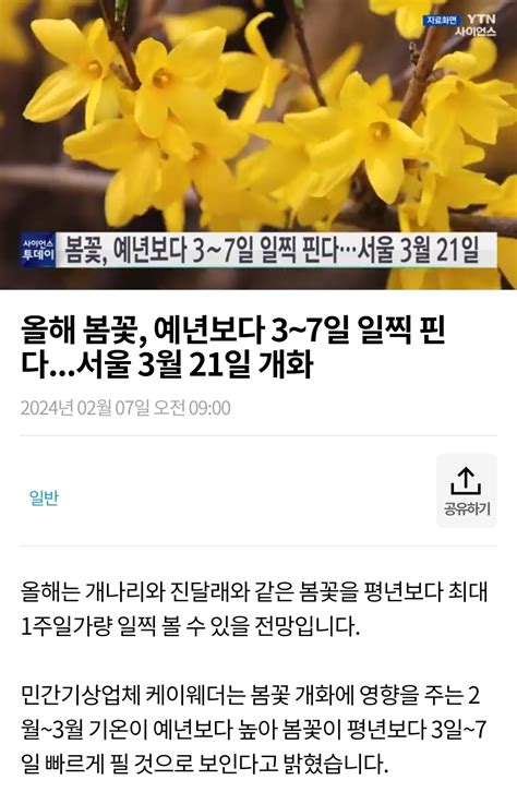 강소성 회안, 음력설용품 인기 - 모이자 뉴스