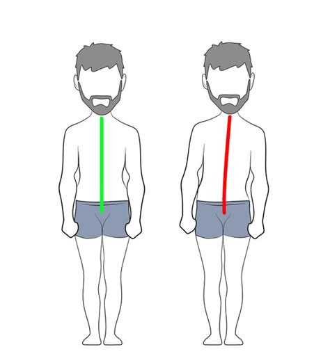 Image result for Proper Alignment