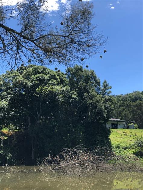 NEWSTEAD FARM (Curry's Post) - Guesthouse Reviews, Photos, Rate ...