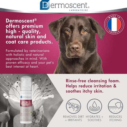 Buy Dermoscent ATOP 7 Mousse Rinse-Free Cleansing Foam for Dogs & Cats ...