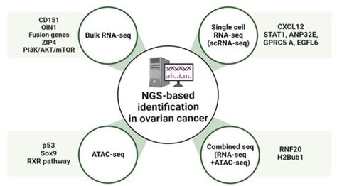 Immunotherapeutic Approaches in Ovarian Cancer