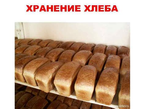 Технология хлеба Хлеб полезный биологический продукт который