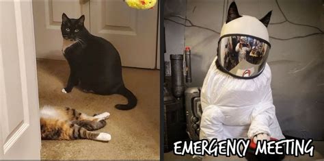 Image result for Among Us JavaScript