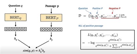 Dense Embedding Python 的图像结果