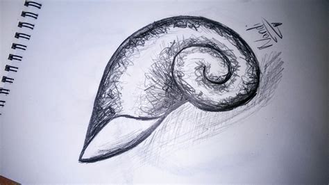 Image result for Shell Drawing Sheet