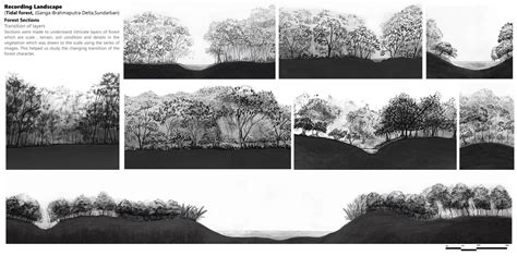 The Forest of the Tides | CEPT - Portfolio