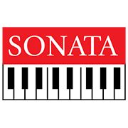 About Sonata Software Ltd | Company information | capitalmarket