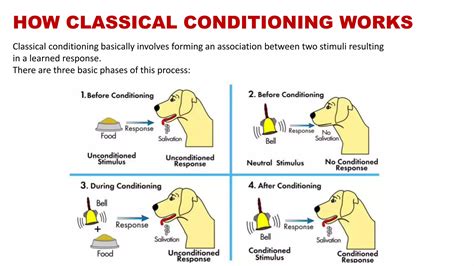 Image result for Classical Conditioning Operant Conditioning