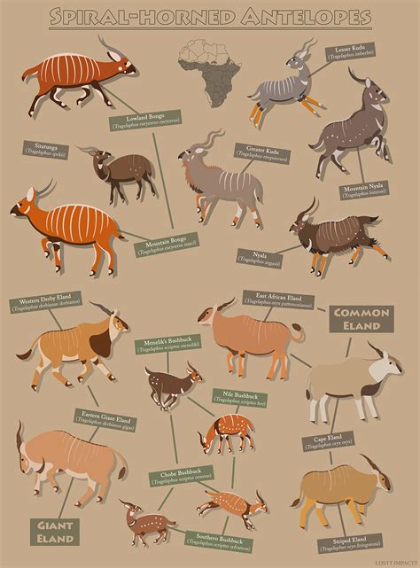 Spiral-Horned Antelopes by losttimpactt on DeviantArt