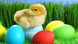 Image result for Beautiful Easter Pictures of Nature