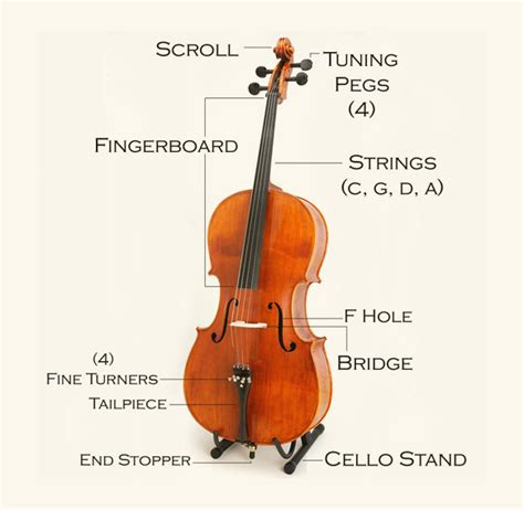 Image result for String Instruments Cello