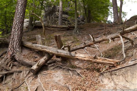 Nationalpark: Sächsische Schweiz – Die Welt in kleinen Fotogeschichten