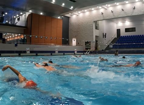 Swim Meet Group 的图像结果