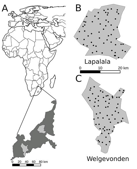 Facilitation or Competition? Effects of Lions on Brown Hyaenas and Leopards