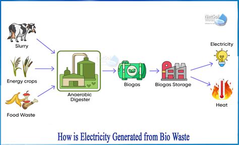 Bioenergy 的图像结果