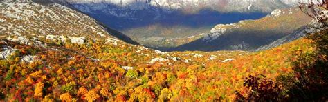Download wallpaper autumn, forest, trees, mountains, tops, The sky ...