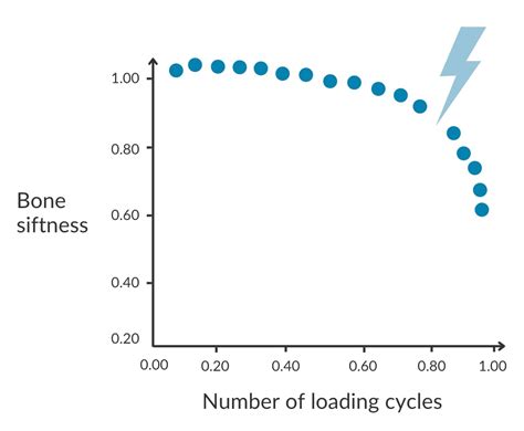 Image result for Gradual Loading On Muscle