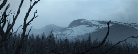 Image result for World Creator Tutorial