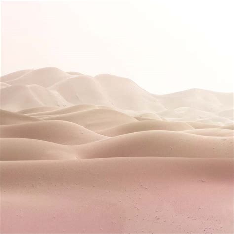 Nature Wall Decor 的图像结果