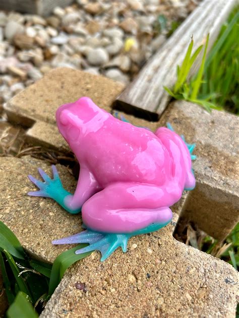 Pink Poison Dart Frogs