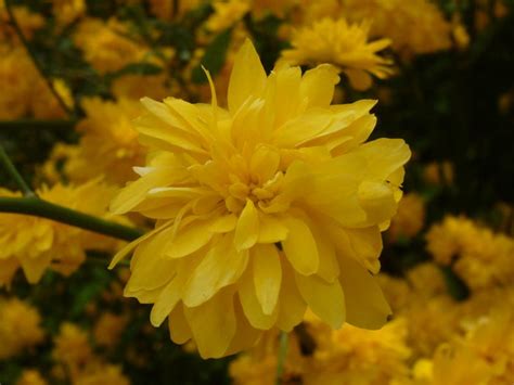 Sie suchen arbeit in Bundesweit | Stellenmarkt | Kleinanzeigen