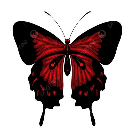Red And Black Butterfly Images