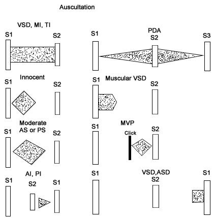 Pediatric Cardiology : Congenital Heart Disease : Congenital Heart ...