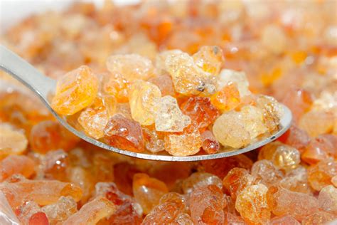 From Tree to Table: How Nexira’s Acacia Gum Transforms Food Innovation ...