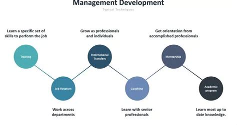 Image result for Development of Management