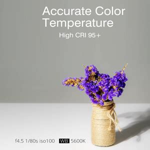 Godox SL60 60W 5600K Studio White Version LCD Panel LED Video Light ...