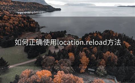Location.reload Local Storage 的图像结果