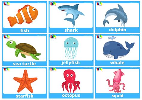 Sea Animal Flashcards With Words use online or PDF download 15 pages ...
