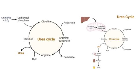 E Cycle Site