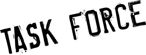 Task Force Script 的图像结果