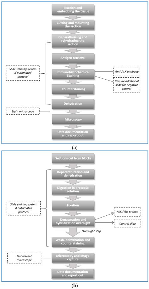 Economic Analysis of Alternative Strategies for Detection of ALK ...