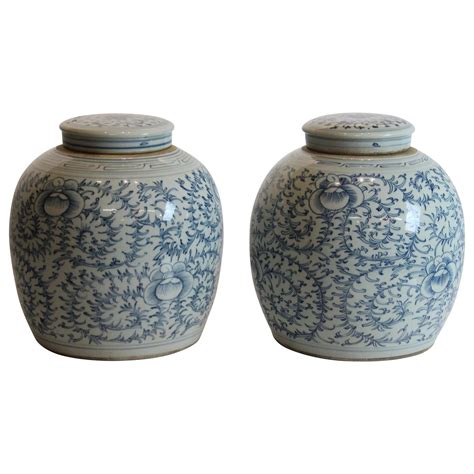 Blue and White Ginger Jars at 1stDibs