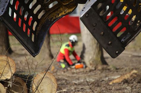 Image result for Small Excavator Logging